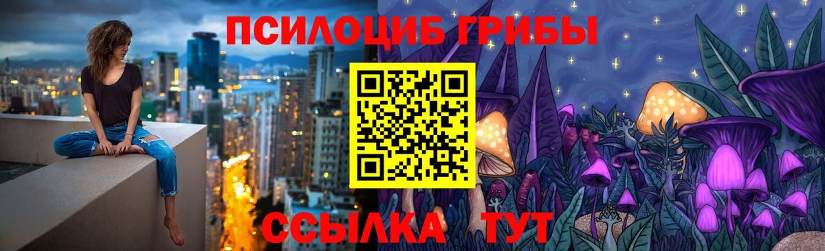 Псилоцибиновые грибы Psilocybine cubensis  даркнет сайт  Галлюциногенные грибы прущие грибы  Асино  Вход с VPN 